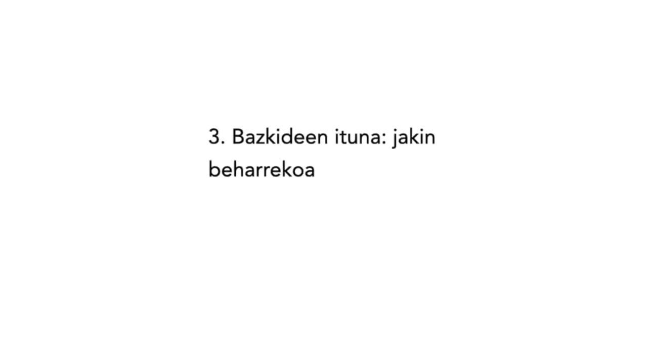 1.3 ZURE FINANTZAZIO PROIEKTUA – Bazkideen Hitzarmena